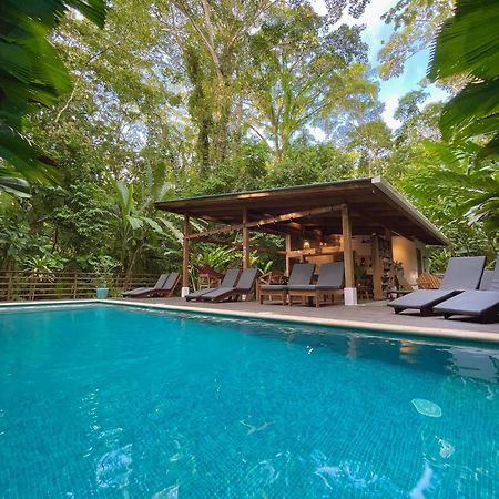 Satta Lodge (Adults Only) Puerto Viejo de Talamanca Εξωτερικό φωτογραφία