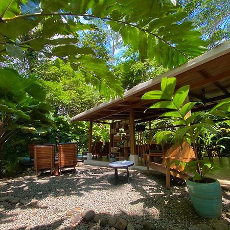 Satta Lodge (Adults Only) Puerto Viejo de Talamanca Εξωτερικό φωτογραφία