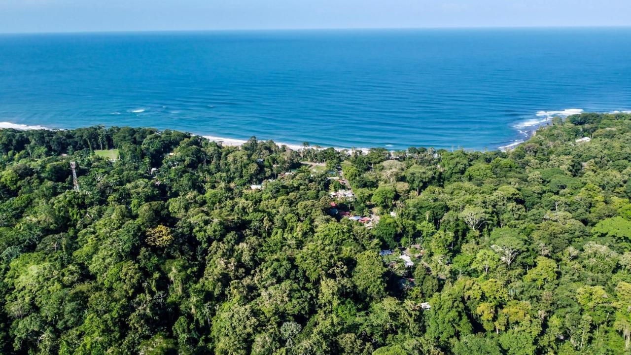 Satta Lodge (Adults Only) Puerto Viejo de Talamanca Εξωτερικό φωτογραφία