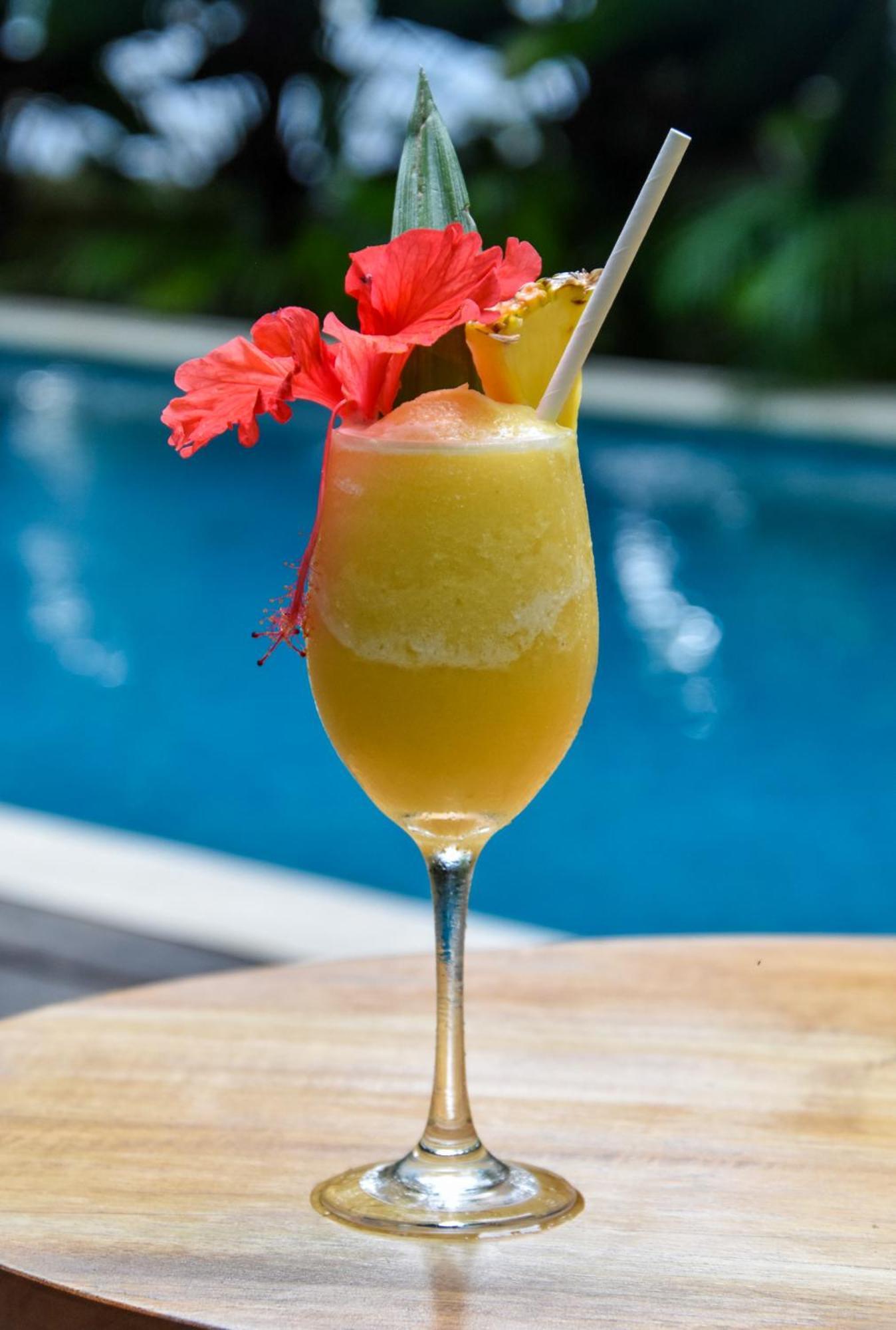Satta Lodge (Adults Only) Puerto Viejo de Talamanca Εξωτερικό φωτογραφία
