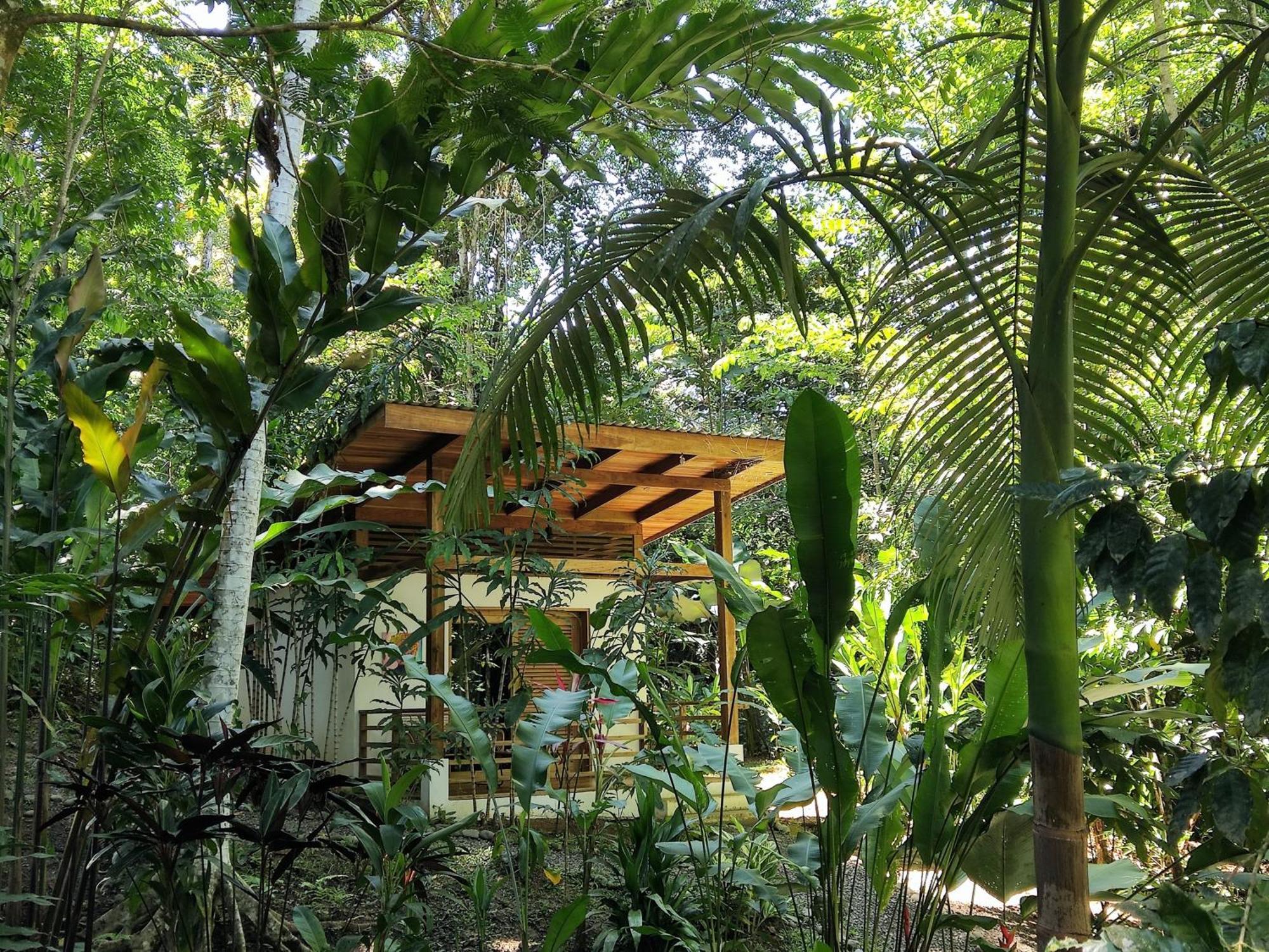 Satta Lodge (Adults Only) Puerto Viejo de Talamanca Δωμάτιο φωτογραφία