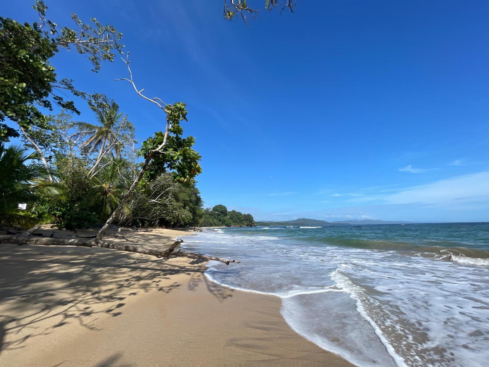 Satta Lodge (Adults Only) Puerto Viejo de Talamanca Εξωτερικό φωτογραφία