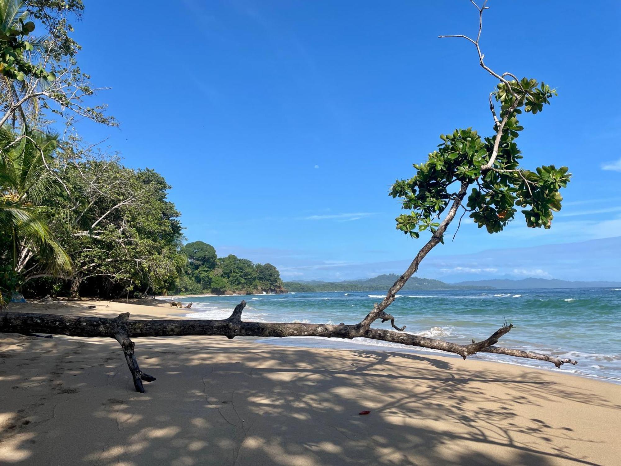 Satta Lodge (Adults Only) Puerto Viejo de Talamanca Εξωτερικό φωτογραφία