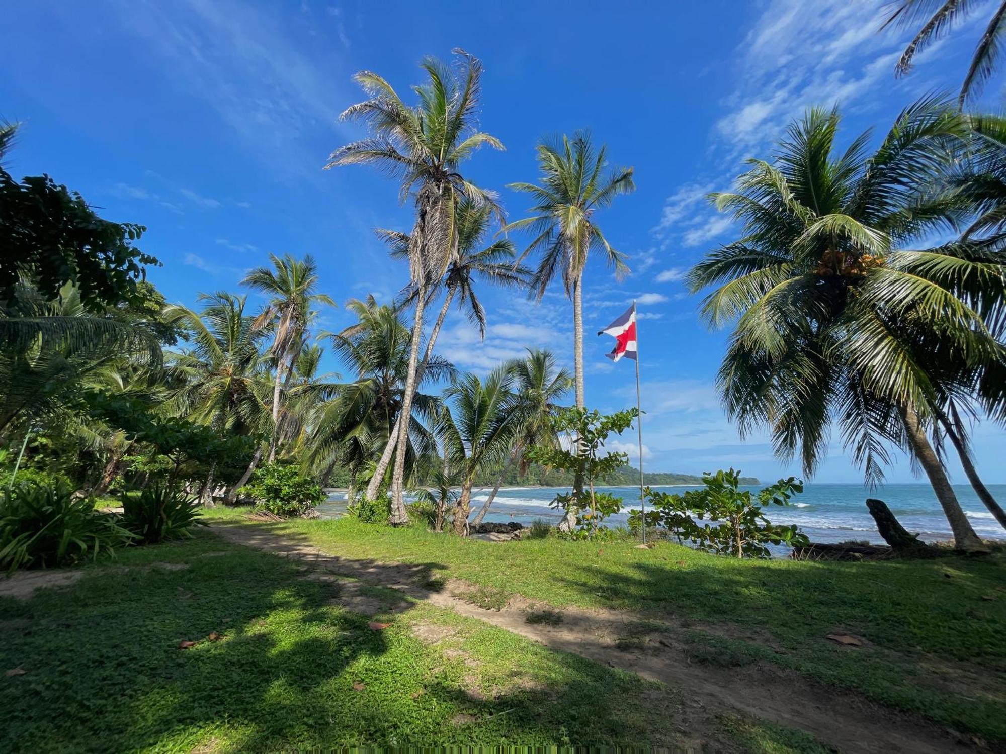 Satta Lodge (Adults Only) Puerto Viejo de Talamanca Εξωτερικό φωτογραφία