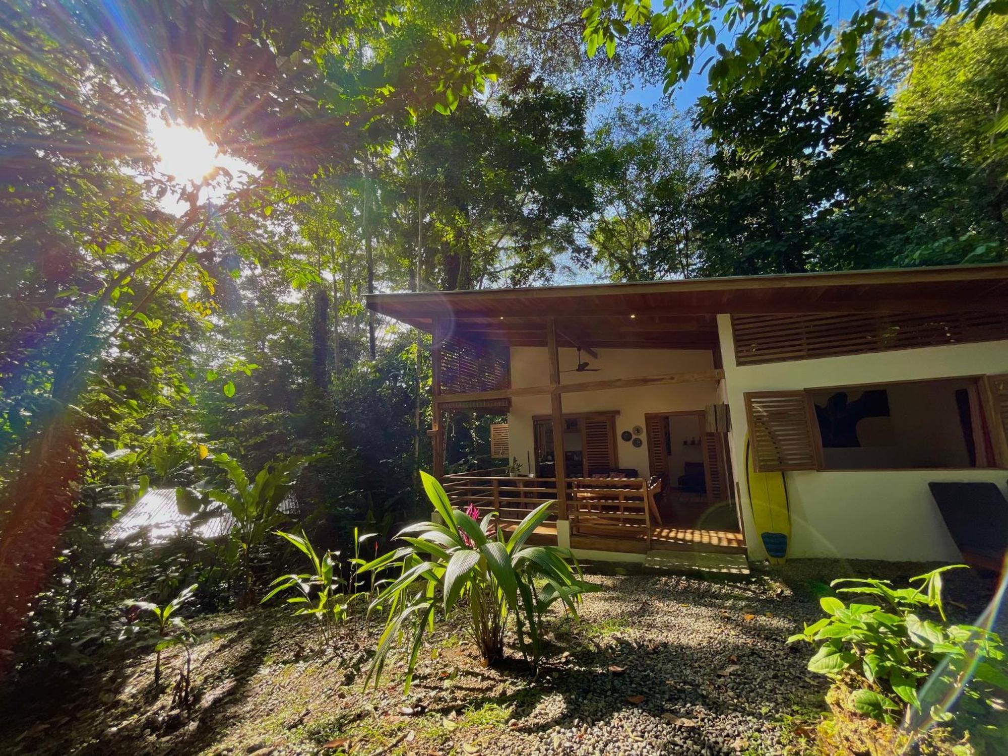 Satta Lodge (Adults Only) Puerto Viejo de Talamanca Εξωτερικό φωτογραφία