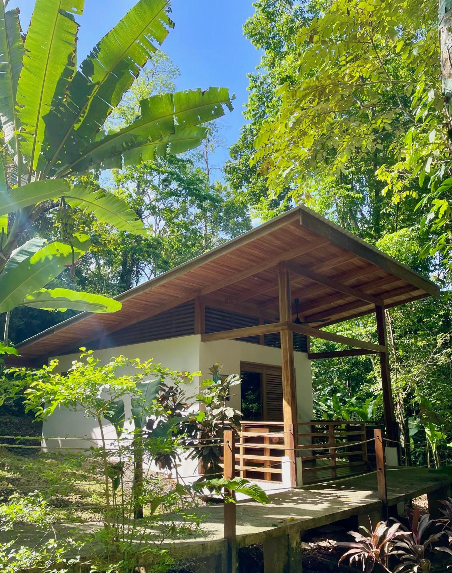Satta Lodge (Adults Only) Puerto Viejo de Talamanca Εξωτερικό φωτογραφία