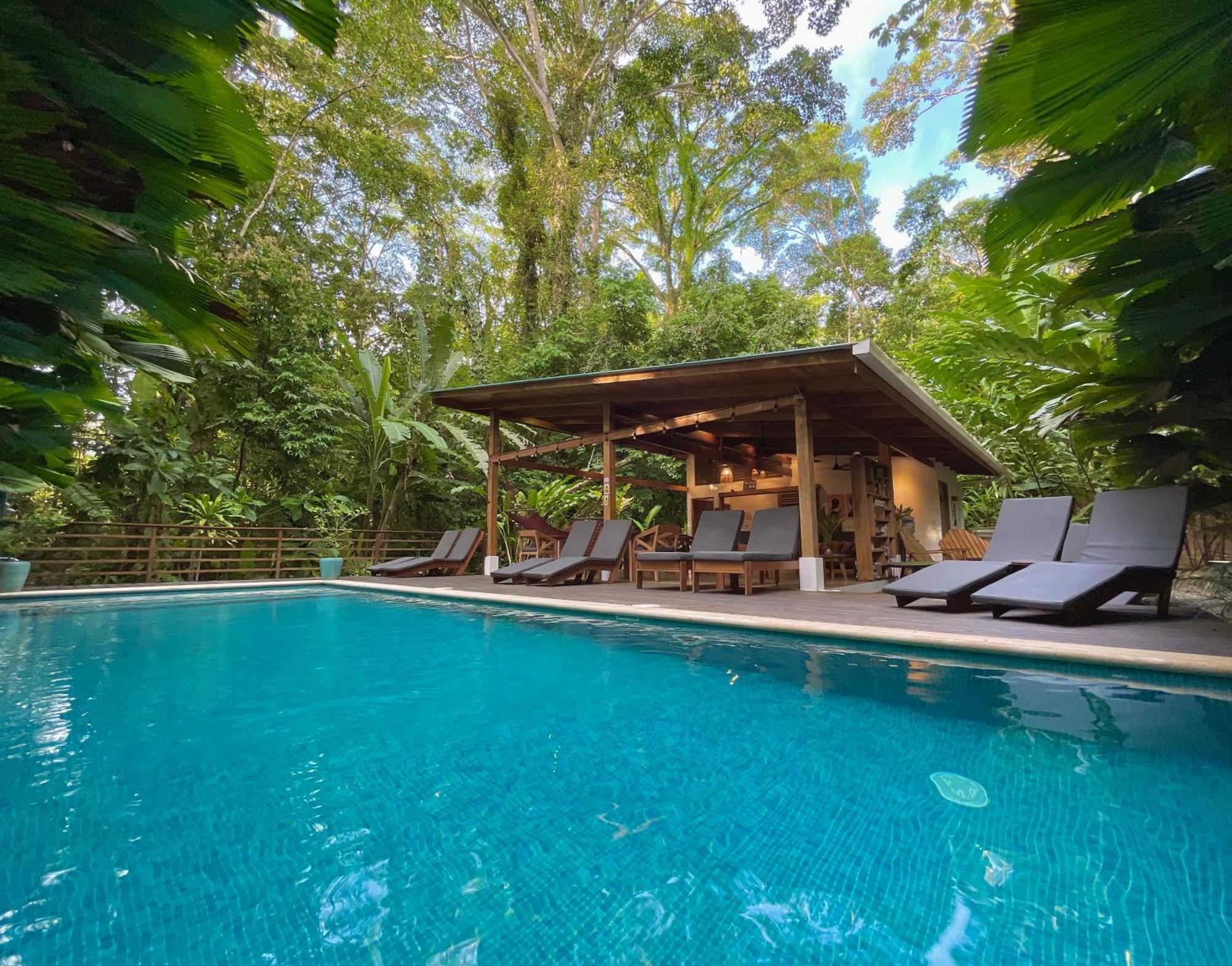 Satta Lodge (Adults Only) Puerto Viejo de Talamanca Εξωτερικό φωτογραφία