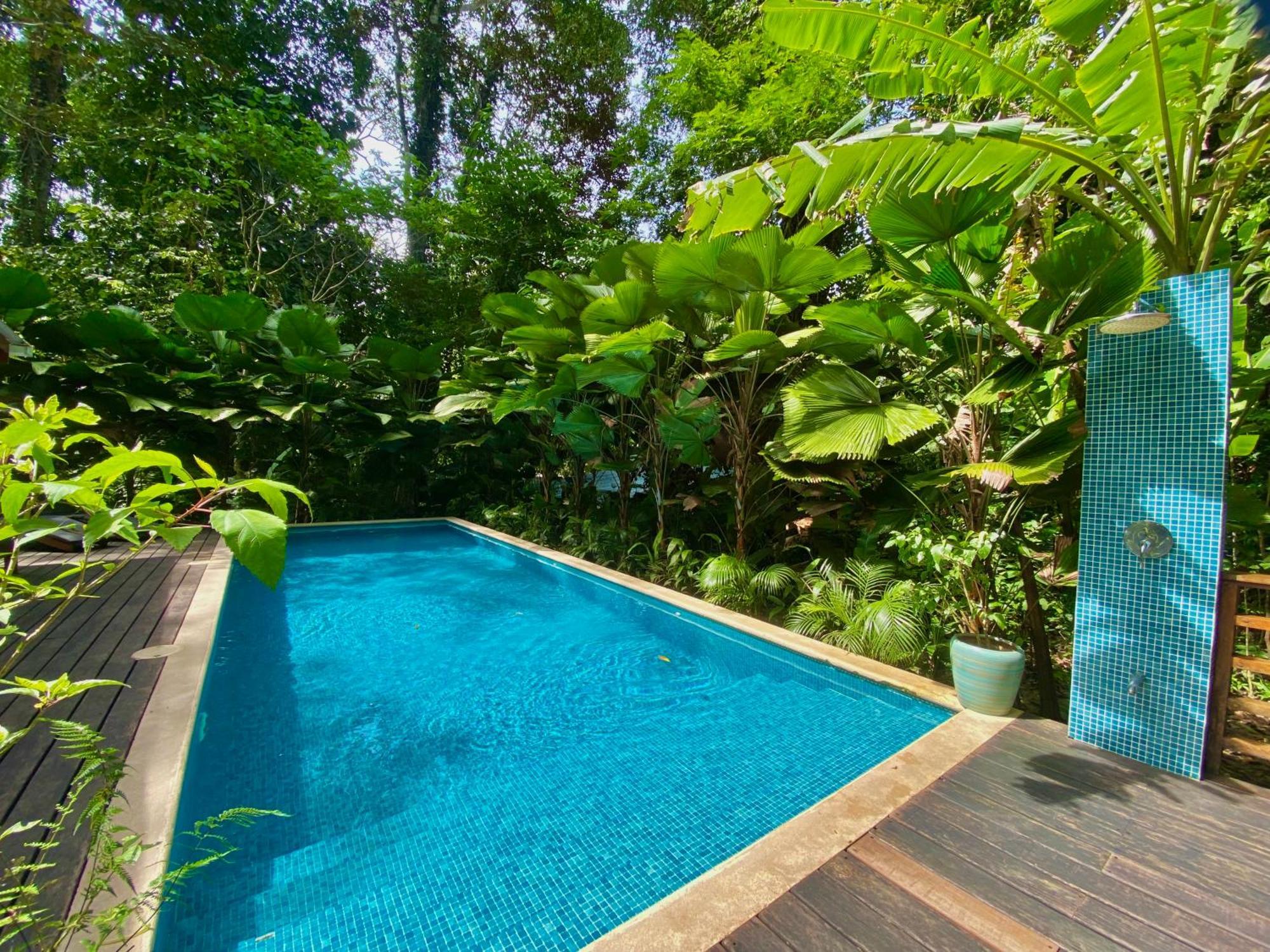 Satta Lodge (Adults Only) Puerto Viejo de Talamanca Εξωτερικό φωτογραφία
