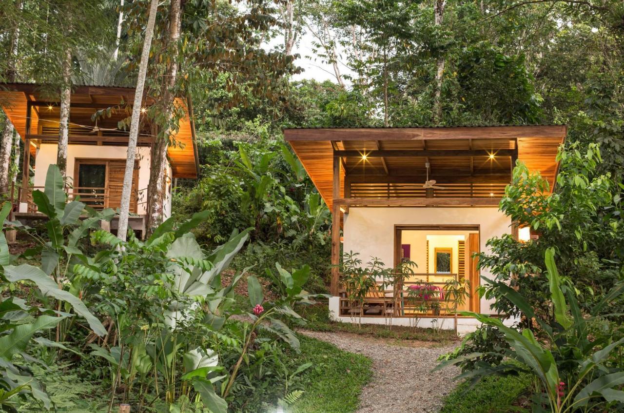 Satta Lodge (Adults Only) Puerto Viejo de Talamanca Εξωτερικό φωτογραφία